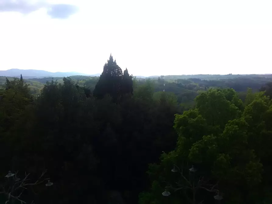 Immagine 4 di Appartamento in affitto  in Via casaferri 15 a Fauglia