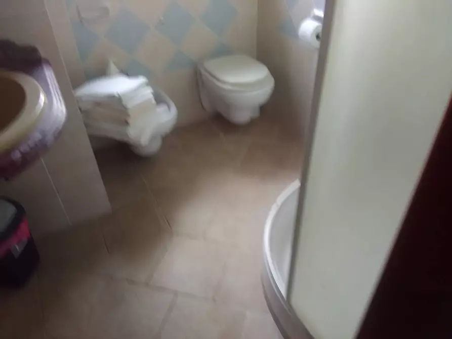 Immagine 9 di Appartamento in affitto  in Via casaferri 15 a Fauglia