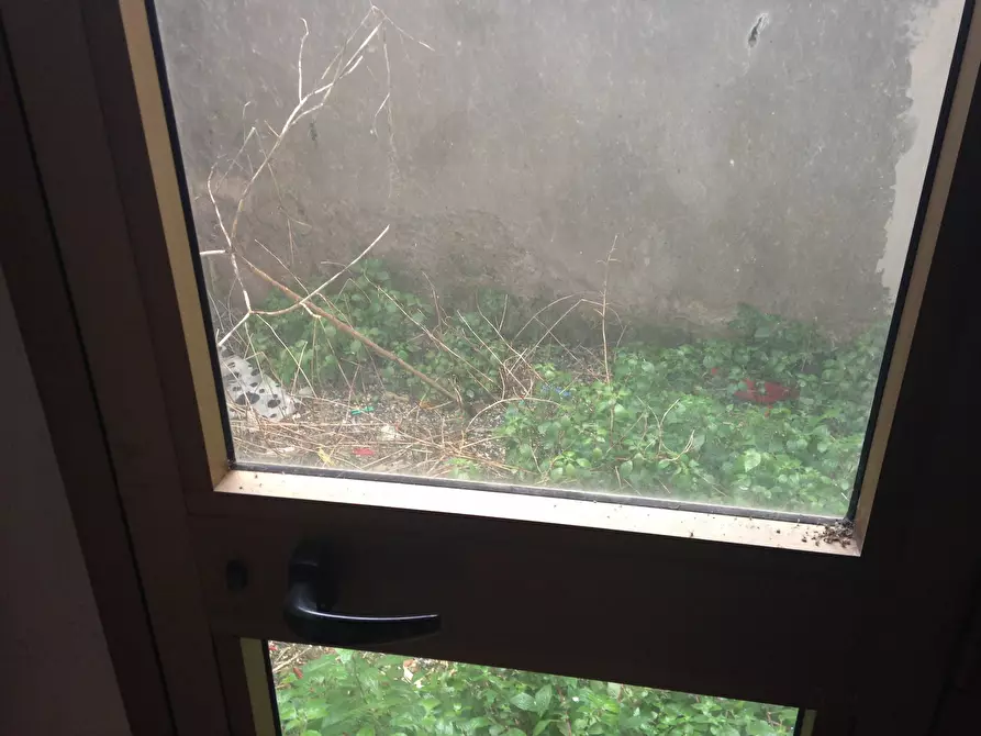 Immagine 3 di Attività commerciale in affitto  in Via Nicola Tacchinardi 3 a Livorno