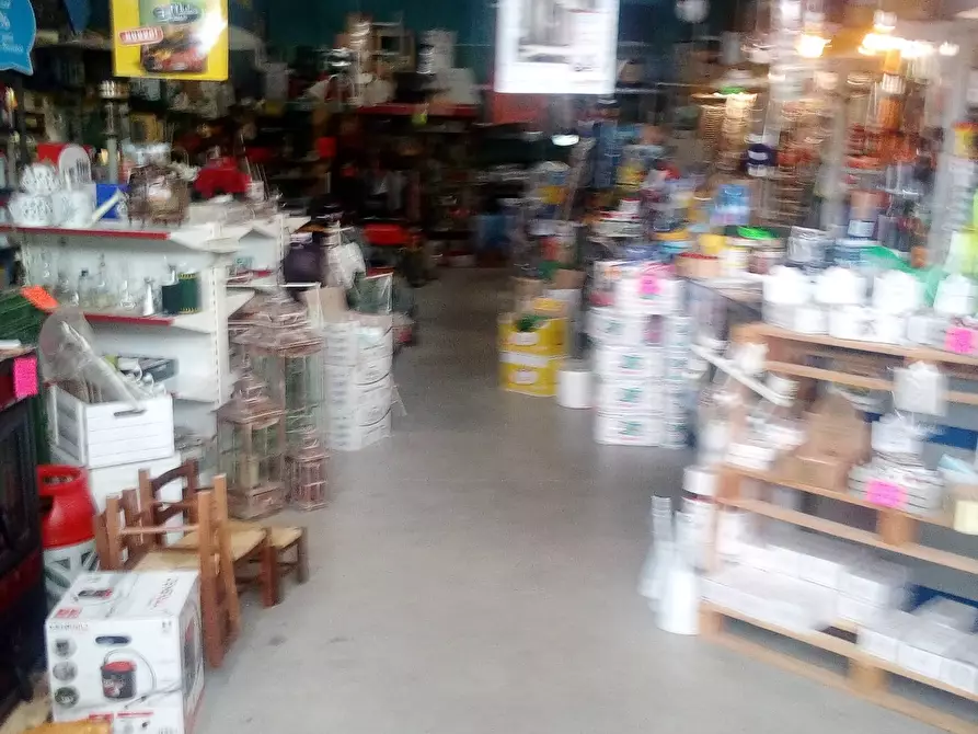 Immagine 6 di Attività commerciale in affitto  in Via Delle Padule a Crespina Lorenzana