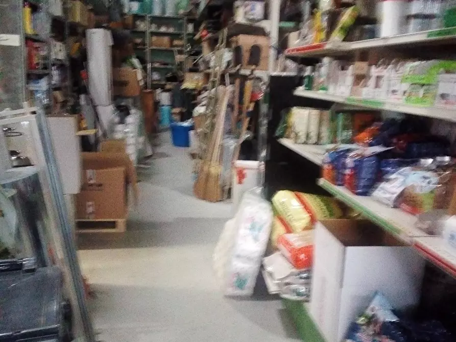 Immagine 12 di Attività commerciale in affitto  in Via Delle Padule a Crespina Lorenzana