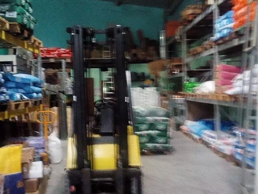 Immagine 17 di Attività commerciale in affitto  in Via Delle Padule a Crespina Lorenzana