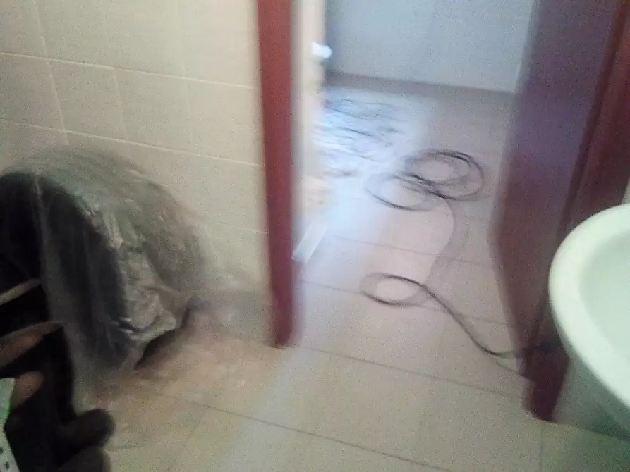 Immagine 20 di Attività commerciale in affitto  in Via Delle Padule a Crespina Lorenzana