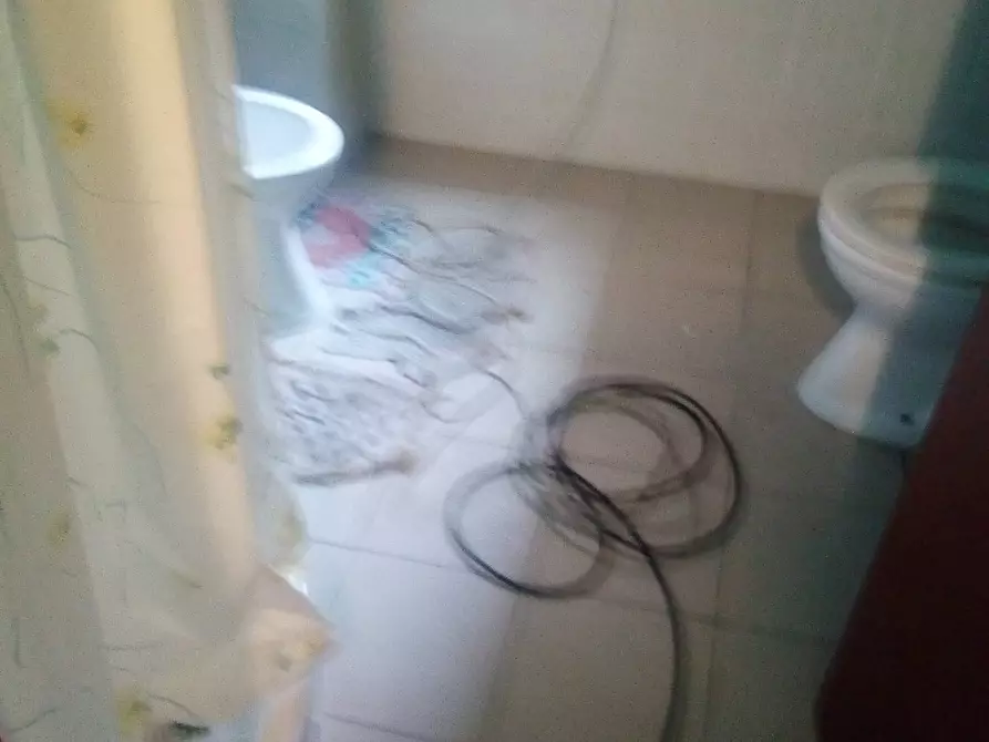 Immagine 23 di Attività commerciale in affitto  in Via Delle Padule a Crespina Lorenzana