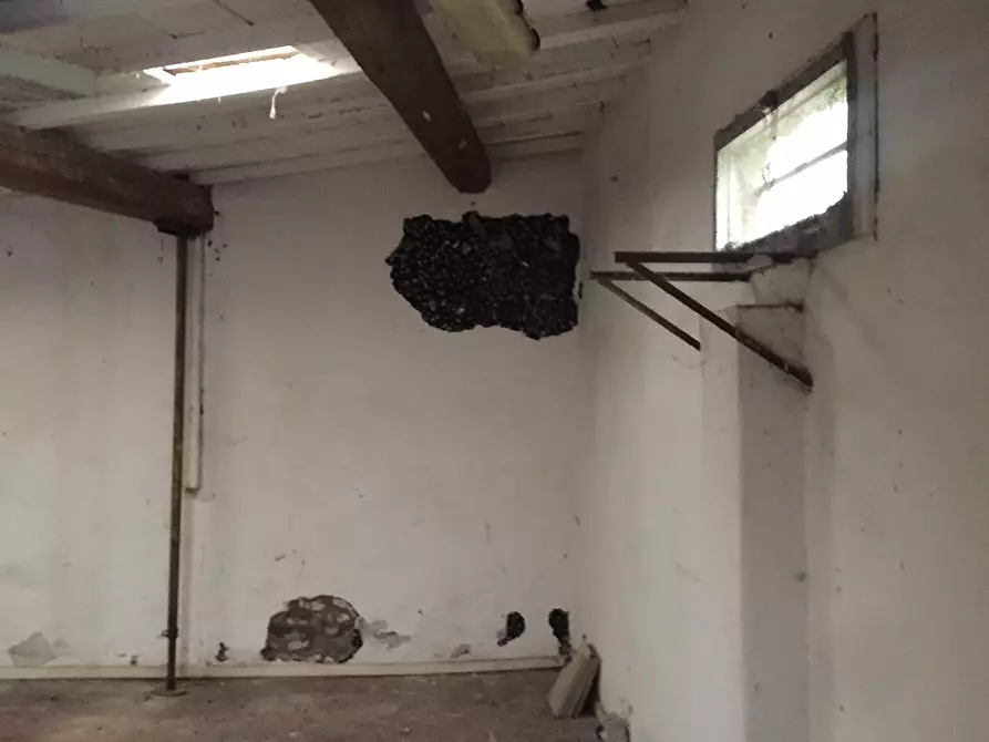 Immagine 11 di Attività commerciale in affitto  in Corso Giuseppe Mazzini 105 a Livorno