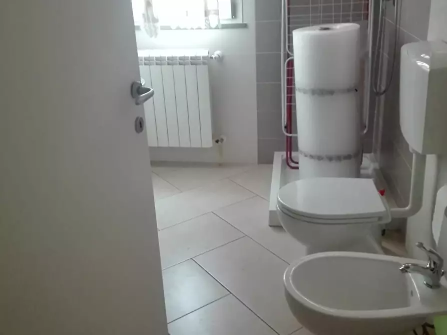 Immagine 5 di Camera in affitto  in Via Del Borghetto 12 a Pisa