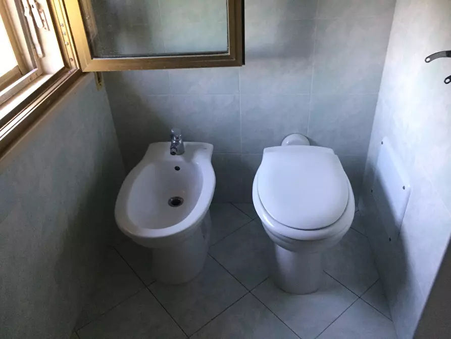 Immagine 6 di Casa indipendente in affitto  in Via paolo Savi 3 a Cascina