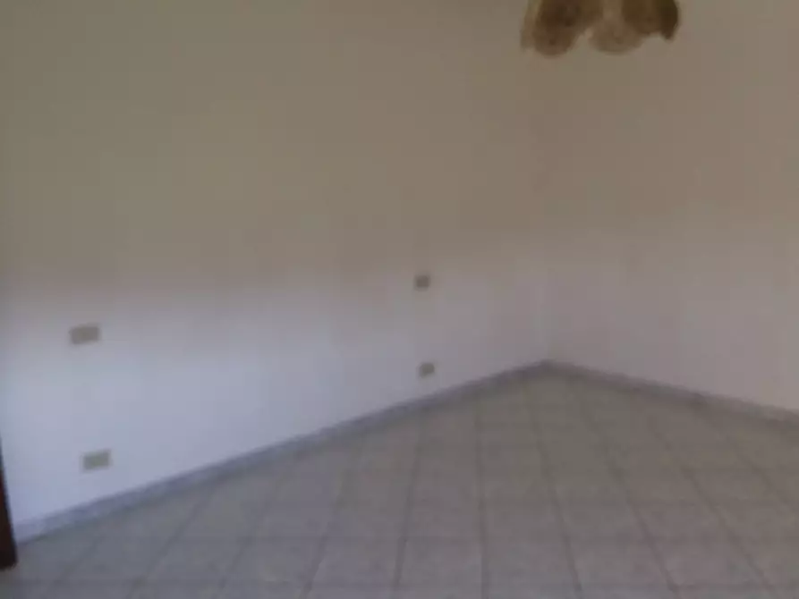 Immagine 8 di Casa indipendente in affitto  in Via paolo Savi 3 a Cascina