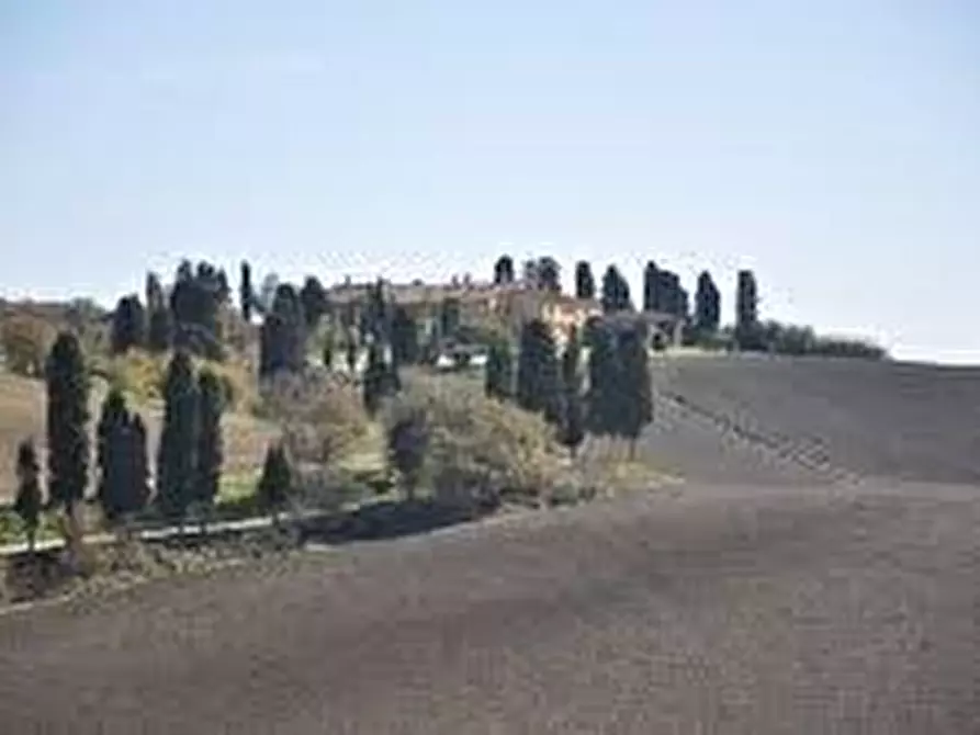 Immagine 4 di Attività commerciale in affitto  in Via Roma a Collesalvetti