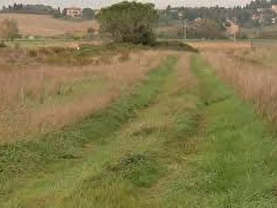 Immagine 5 di Attività commerciale in affitto  in Via Roma a Collesalvetti