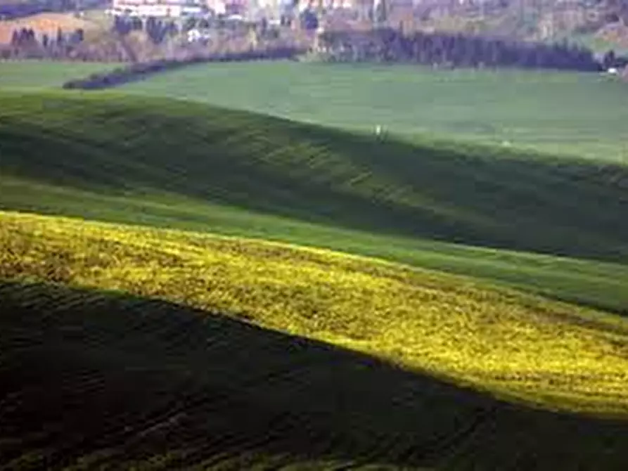 Immagine 7 di Attività commerciale in affitto  in Via Roma a Collesalvetti