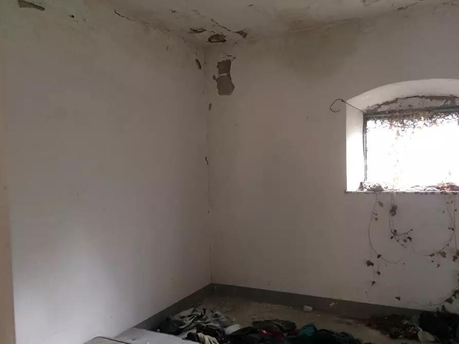 Immagine 6 di Attività commerciale in affitto  in Via Carlo Cattaneo a Pisa