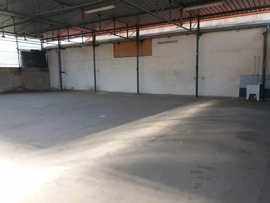 Immagine 4 di Magazzino in affitto  in via lenin 12 a San Giuliano Terme