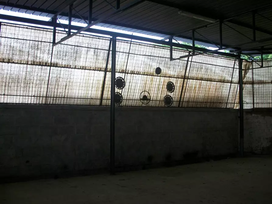 Immagine 6 di Magazzino in affitto  in via lenin 12 a San Giuliano Terme