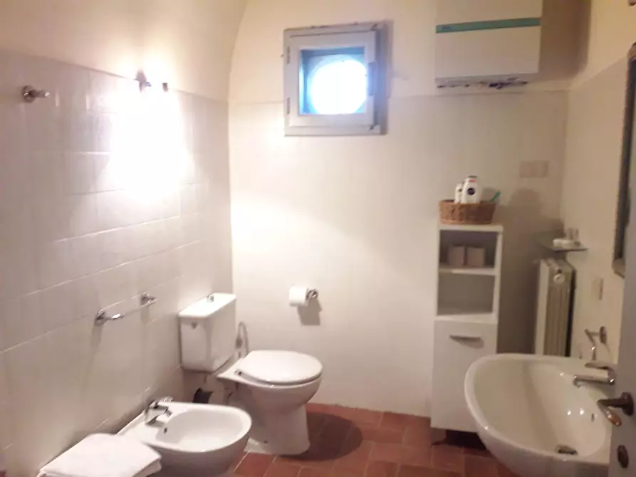 Immagine 6 di Casa indipendente in affitto  in via di mezzo  nord 250 a Cascina