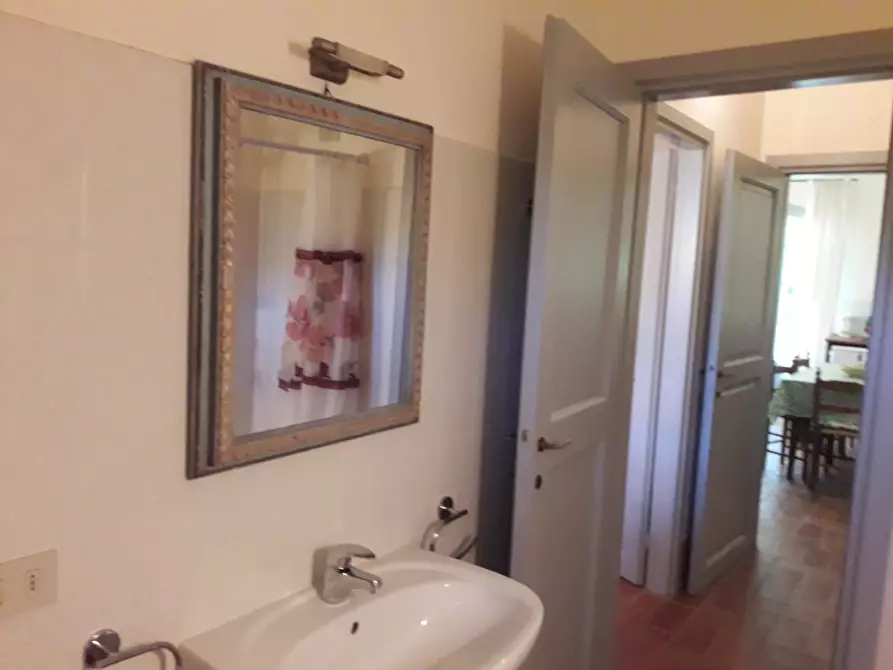 Immagine 10 di Casa indipendente in affitto  in via di mezzo  nord 250 a Cascina