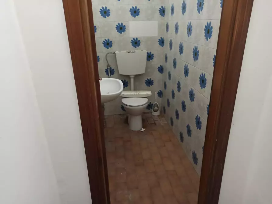 Immagine 3 di Attività commerciale in affitto  in Via Martin Lutero a Pisa