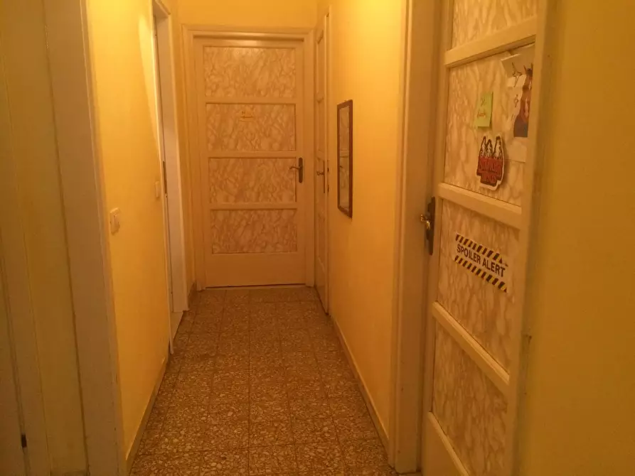 Immagine 11 di Camera in affitto  in Lungarno Mediceo a Pisa