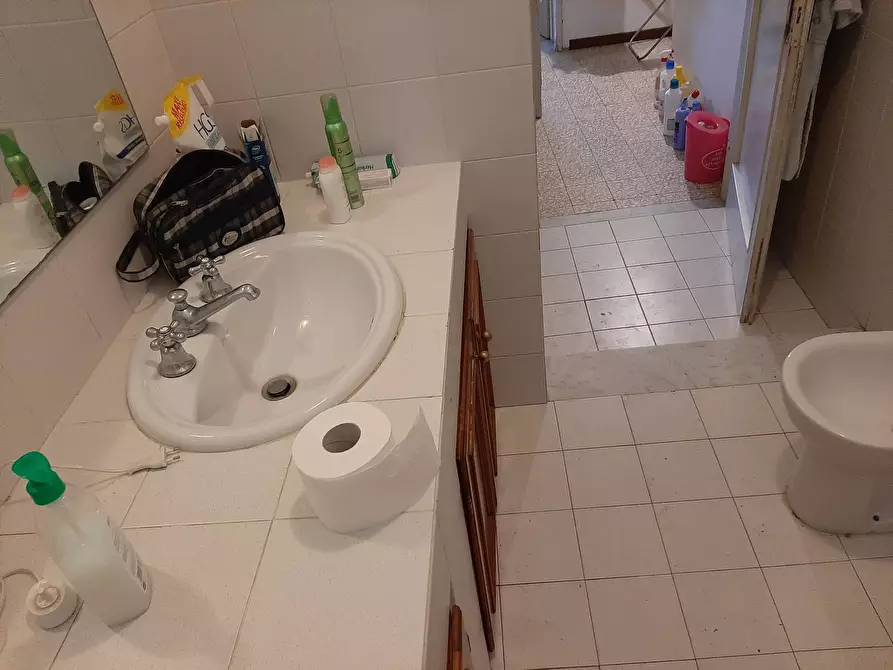 Immagine 6 di Camera in affitto  in Lungarno Sidney Sonnino a Pisa