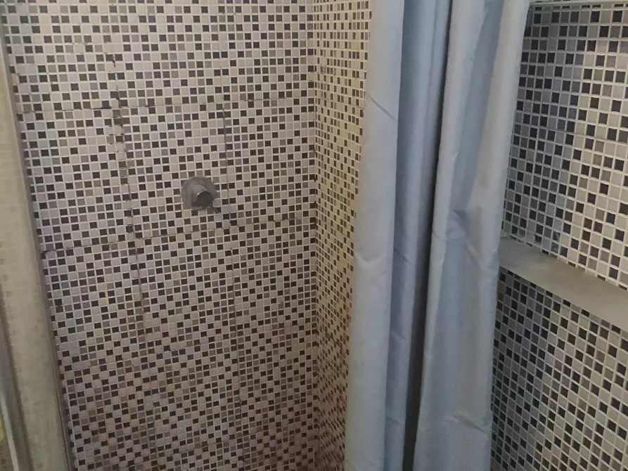 Immagine 3 di Appartamento in affitto  in Via Sardo Ranieri a Pisa