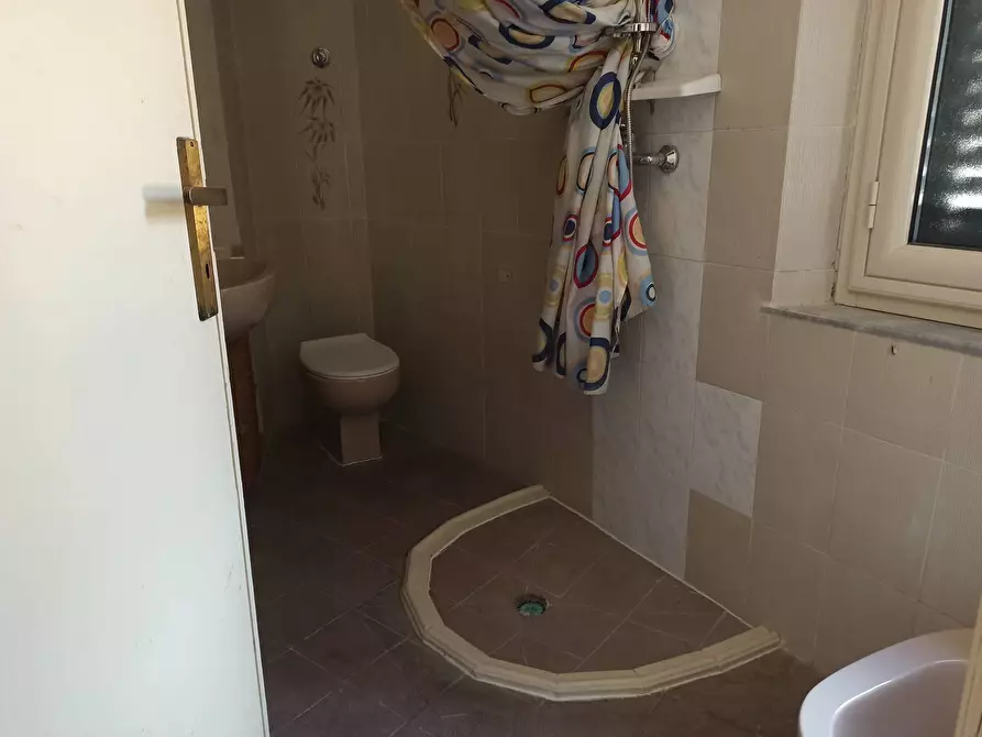 Immagine 7 di Appartamento in affitto  in Via Carlo Salomone Cammeo 1 a Pisa