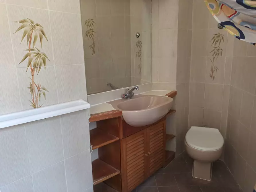 Immagine 8 di Appartamento in affitto  in Via Carlo Salomone Cammeo 1 a Pisa