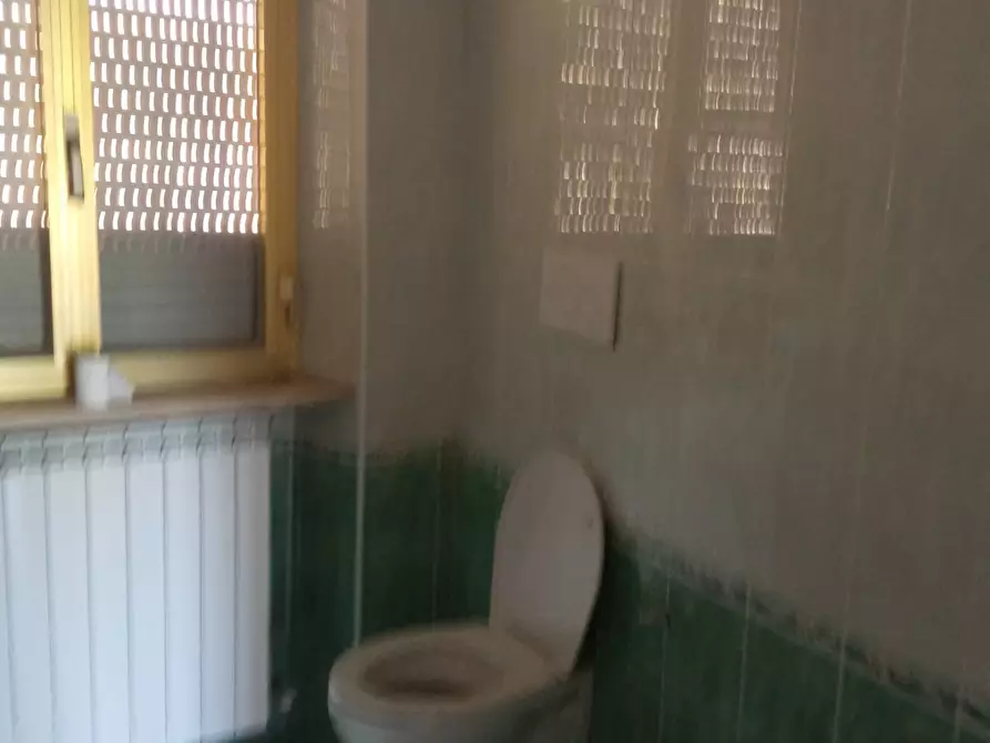 Immagine 8 di Attività commerciale in affitto  in lammari a Capannori