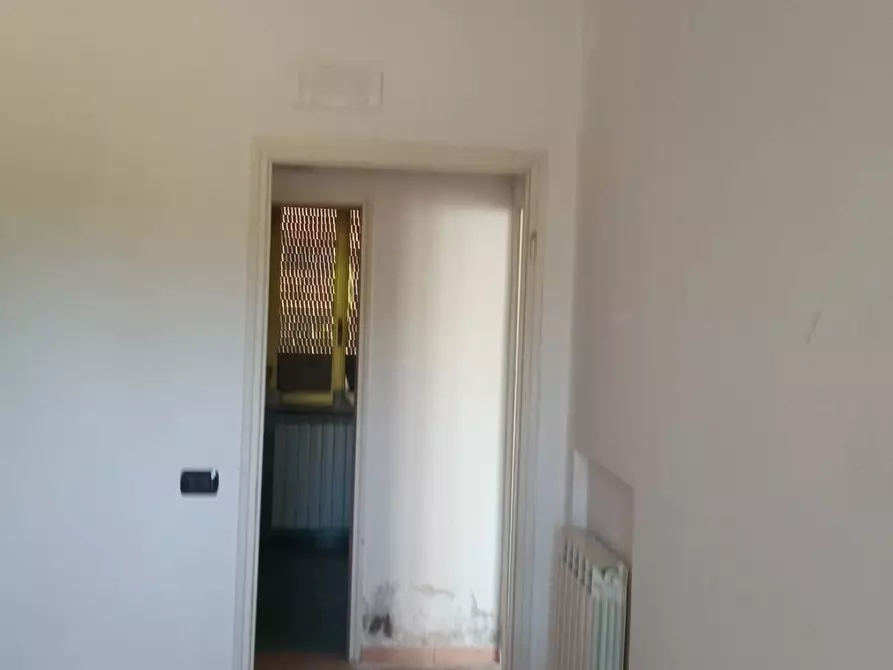 Immagine 10 di Attività commerciale in affitto  in lammari a Capannori