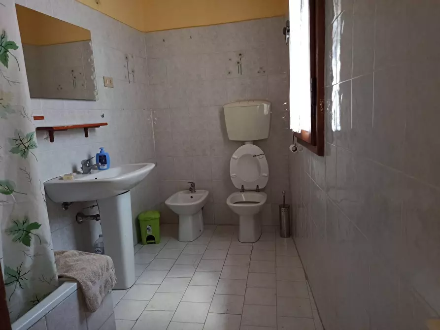 Immagine 9 di Camera in affitto  in Piazza Dante Alighieri 1 a Pisa