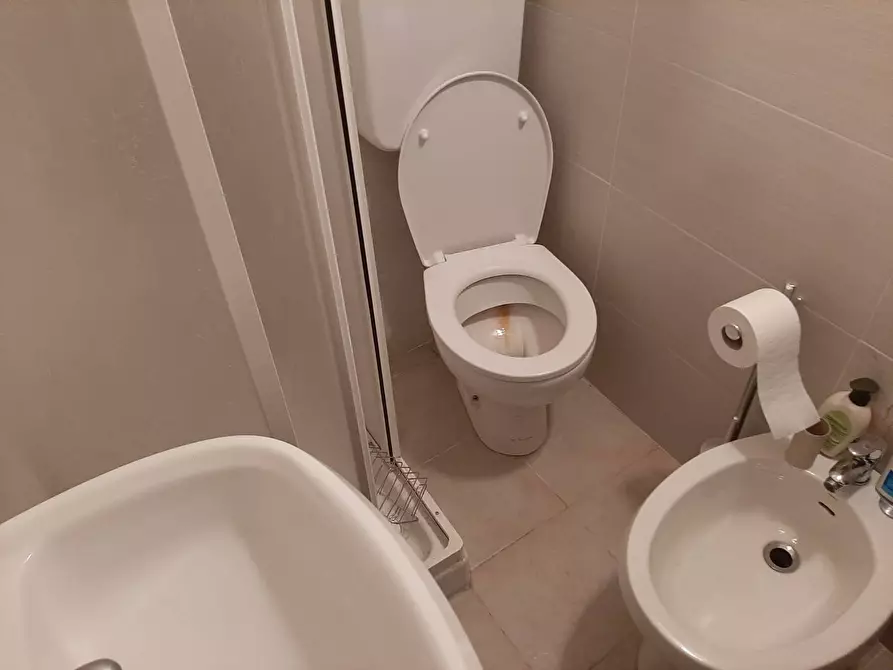 Immagine 16 di Camera in affitto  in Viale Francesco Bonaini 1 a Pisa