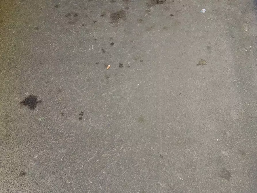 Immagine 1 di Box auto in affitto  in Lungarno Guadalongo a Pisa