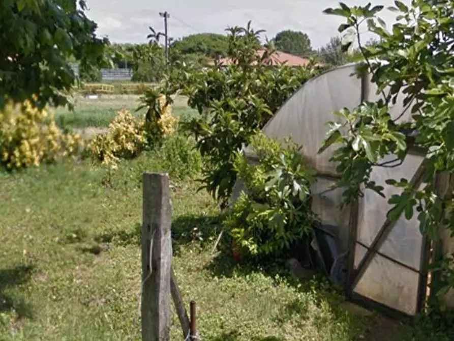 Immagine 2 di Terreno agricolo in vendita  in via dei Filaracci a Massarosa