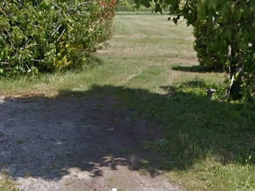 Immagine 4 di Terreno agricolo in vendita  in via dei Filaracci a Massarosa