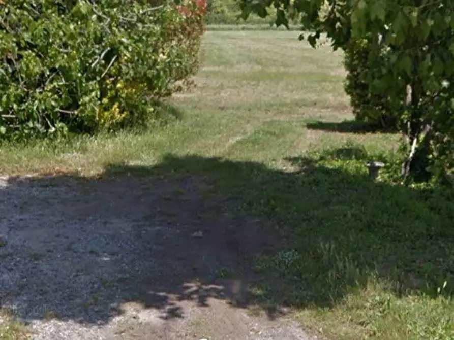 Immagine 8 di Terreno agricolo in vendita  in via dei Filaracci a Massarosa