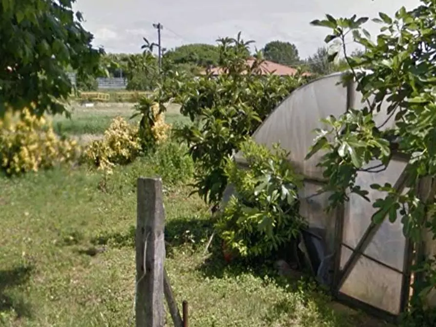 Immagine 11 di Terreno agricolo in vendita  in via dei Filaracci a Massarosa