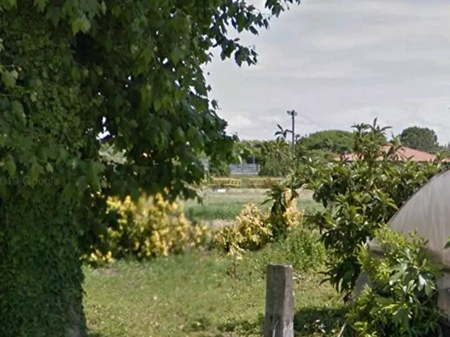 Immagine 14 di Terreno agricolo in vendita  in via dei Filaracci a Massarosa