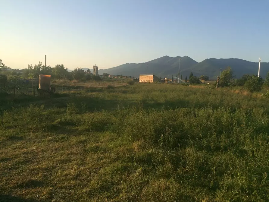 Immagine 3 di Terreno agricolo in vendita  in via della libertà a Cascina