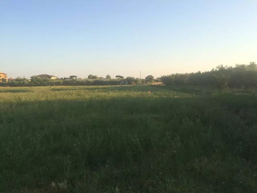 Immagine 4 di Terreno agricolo in vendita  in via della libertà a Cascina