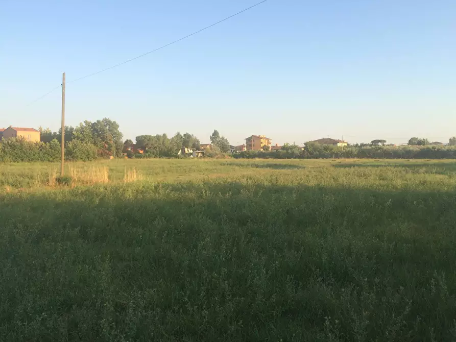 Immagine 5 di Terreno agricolo in vendita  in via della libertà a Cascina
