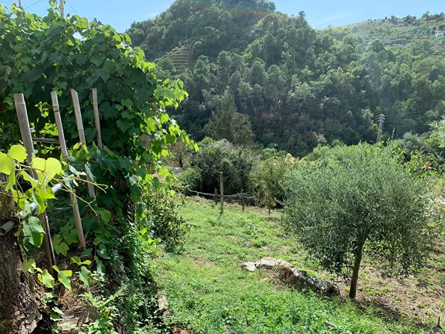 Immagine 42 di Casa indipendente in vendita  in Via Cerro Grosso 20 a Pietrasanta