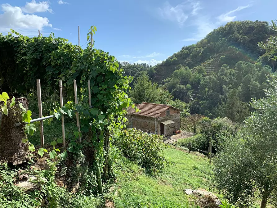 Immagine 44 di Casa indipendente in vendita  in Via Cerro Grosso 20 a Pietrasanta