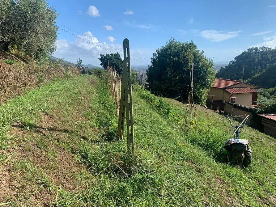 Immagine 47 di Casa indipendente in vendita  in Via Cerro Grosso 20 a Pietrasanta