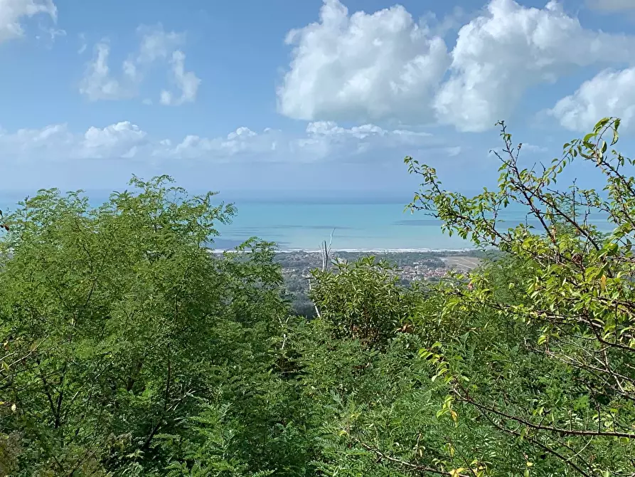 Immagine 33 di Casa indipendente in vendita  in Via Cerro Grosso a Pietrasanta