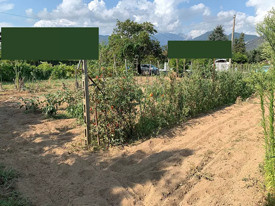 Immagine 5 di Terreno residenziale in vendita  in Via Pisanica a Pietrasanta