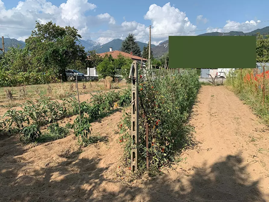 Immagine 6 di Terreno residenziale in vendita  in Via Pisanica a Pietrasanta