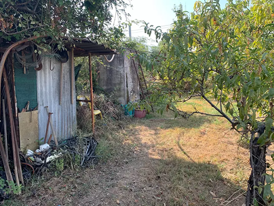 Immagine 8 di Terreno residenziale in vendita  in Via Pisanica a Pietrasanta