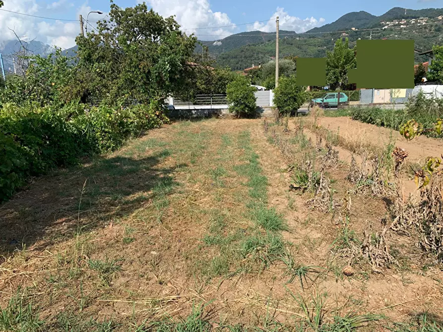 Immagine 13 di Terreno residenziale in vendita  in Via Pisanica a Pietrasanta