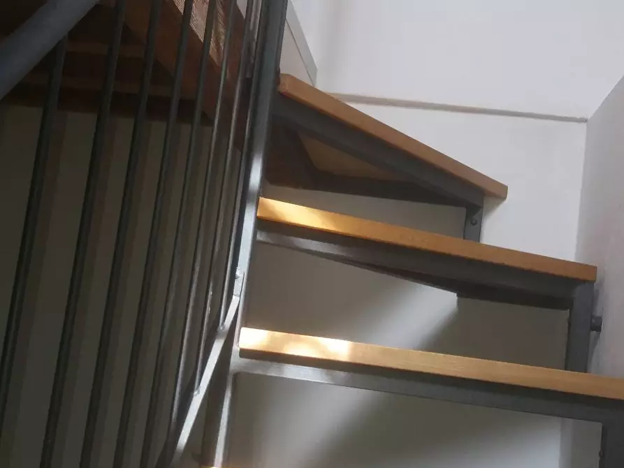 Immagine 23 di Casa indipendente in vendita  in via Terrapezzina a Camaiore