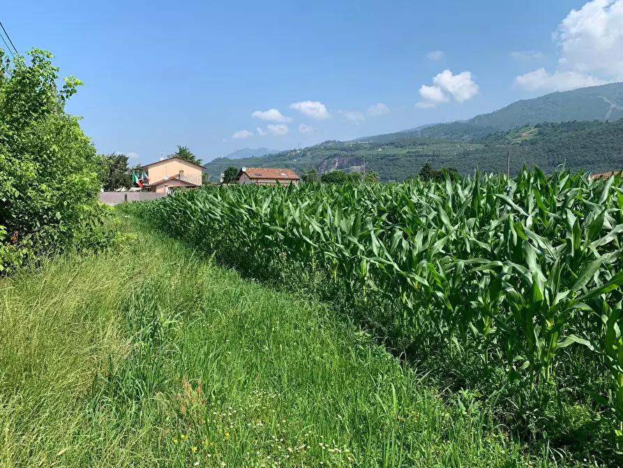 Immagine 1 di Terreno agricolo in vendita  in Via Del Lago Pietrasanta a Pietrasanta