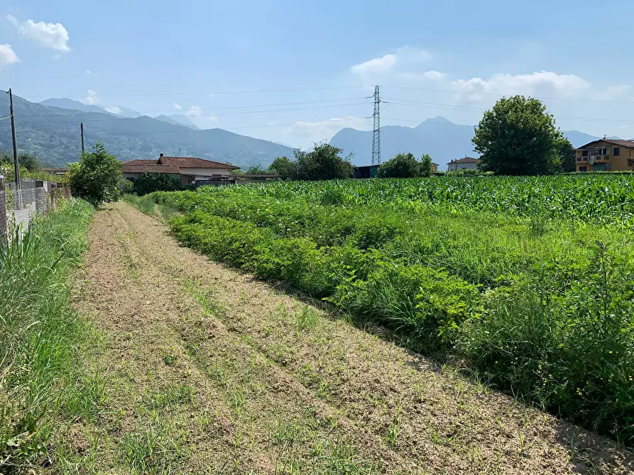 Immagine 3 di Terreno agricolo in vendita  in Via Del Lago Pietrasanta a Pietrasanta